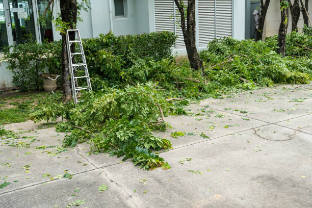 Best Pest Control for Lawns  in Arkoma, OK