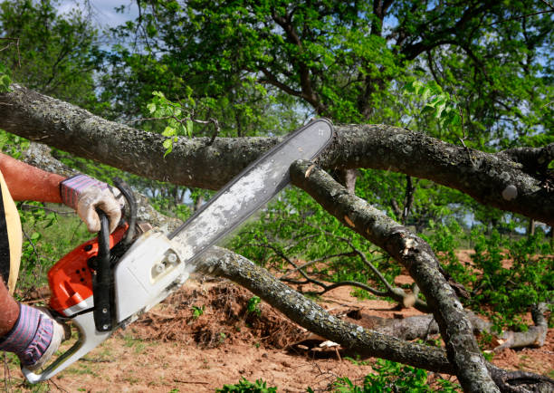 Best Aeration Services  in Arkoma, OK