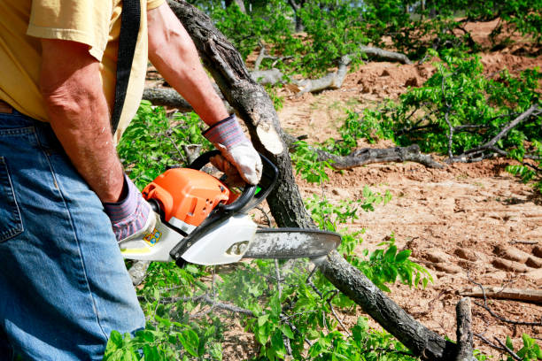 Best Utility Line Clearance  in Arkoma, OK