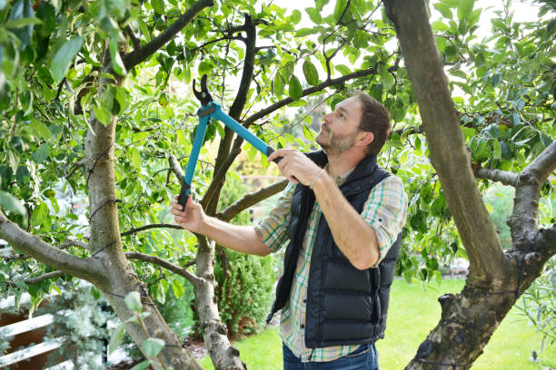 Best Lawn Watering Services  in Arkoma, OK
